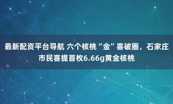 最新配资平台导航 六个核桃“金”喜破圈，石家庄市民喜提首枚6.66g黄金核桃