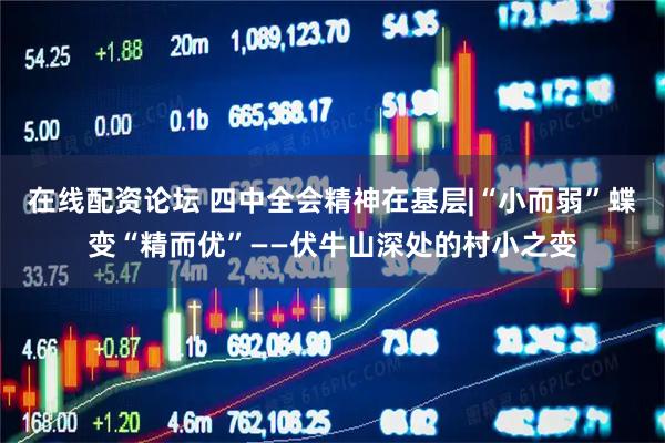 在线配资论坛 四中全会精神在基层|“小而弱”蝶变“精而优”——伏牛山深处的村小之变