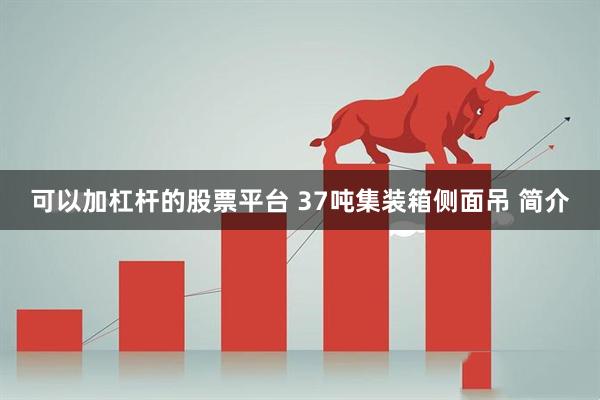 可以加杠杆的股票平台 37吨集装箱侧面吊 简介