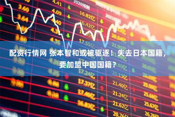 配资行情网 张本智和或被驱逐！失去日本国籍，要加盟中国国籍？
